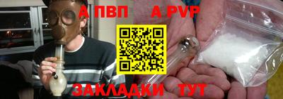 дмт Кингисепп
