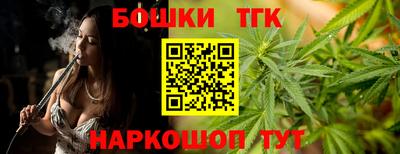 дмт Кингисепп