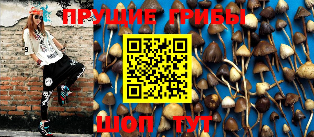 Псилоцибиновые грибы мухоморы  Вход с VPN  Луга 